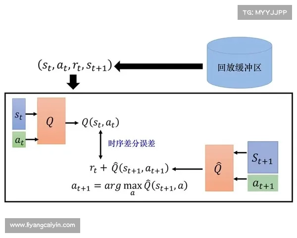全面解析王者之路天之劫从基础入门到高阶进阶的深度策略指南 全面解析王者之路天之劫从基础入门到高阶进阶的深度策略指南
